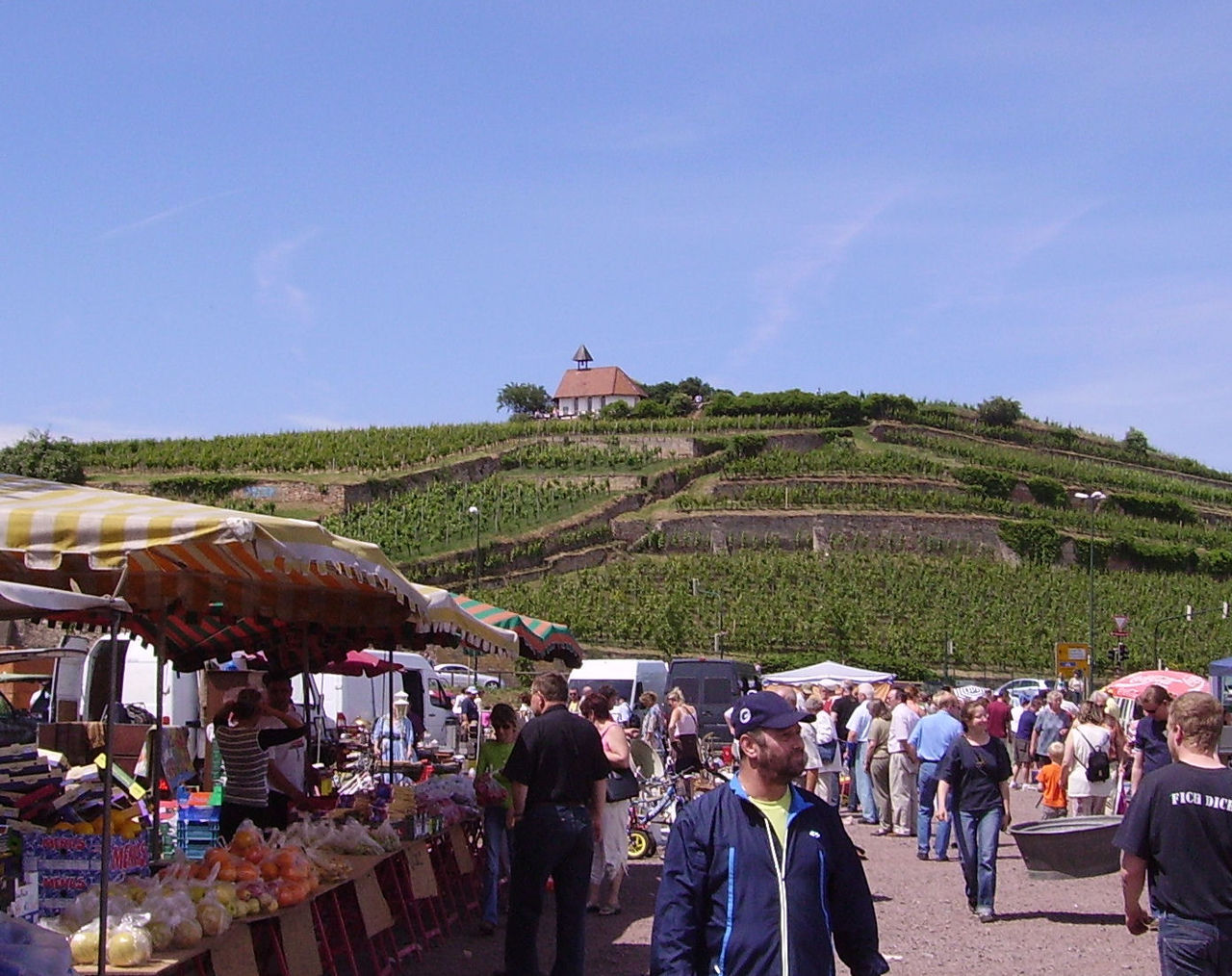 Bad Dürkheim - Behandlung durch Natur, Mineralquellen und Wein