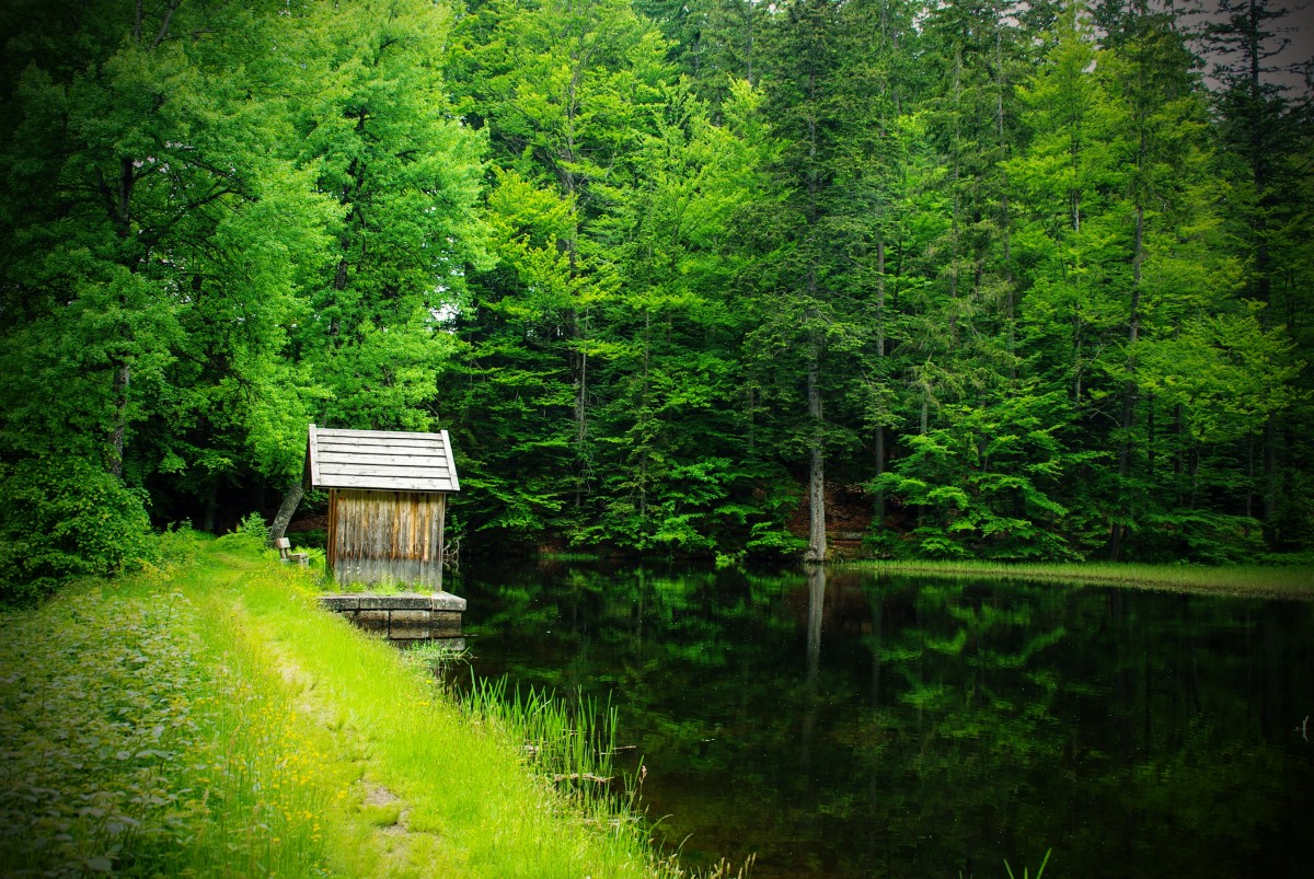 Bayerischer Wald: Sehenswürdigkeiten, Aktivitäten, touristische Bewertungen, Restaurants, Routen