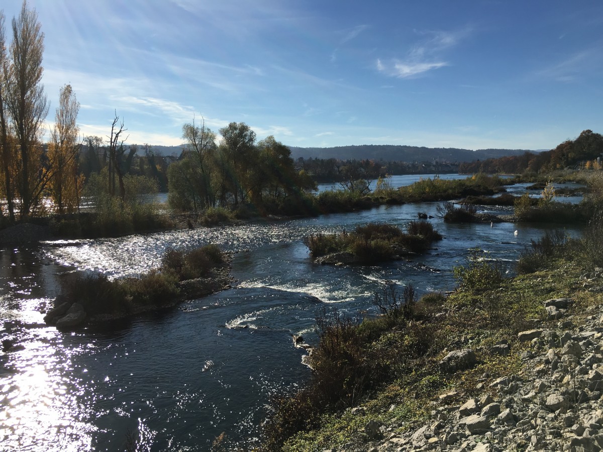 Bodensee: Sehenswürdigkeiten, Erholung, touristische Bewertungen, Touren, Restaurants