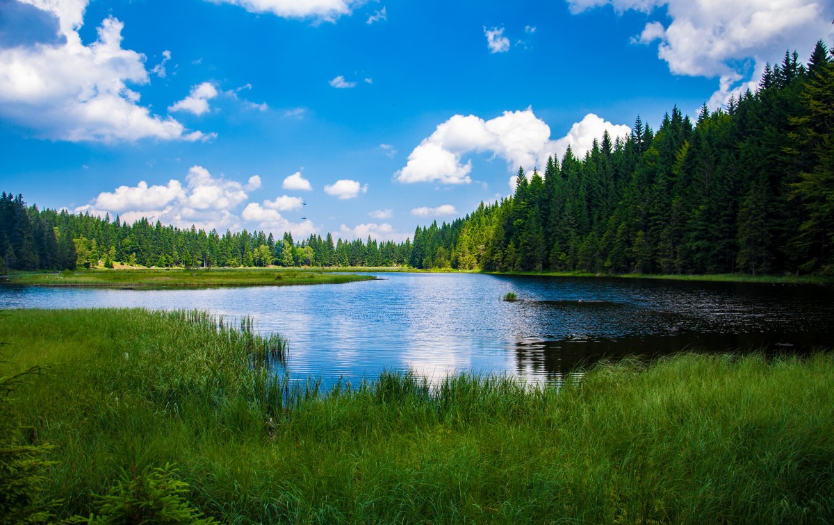 Bayerischer Wald: Sehenswürdigkeiten, Aktivitäten, touristische Bewertungen, Restaurants, Routen