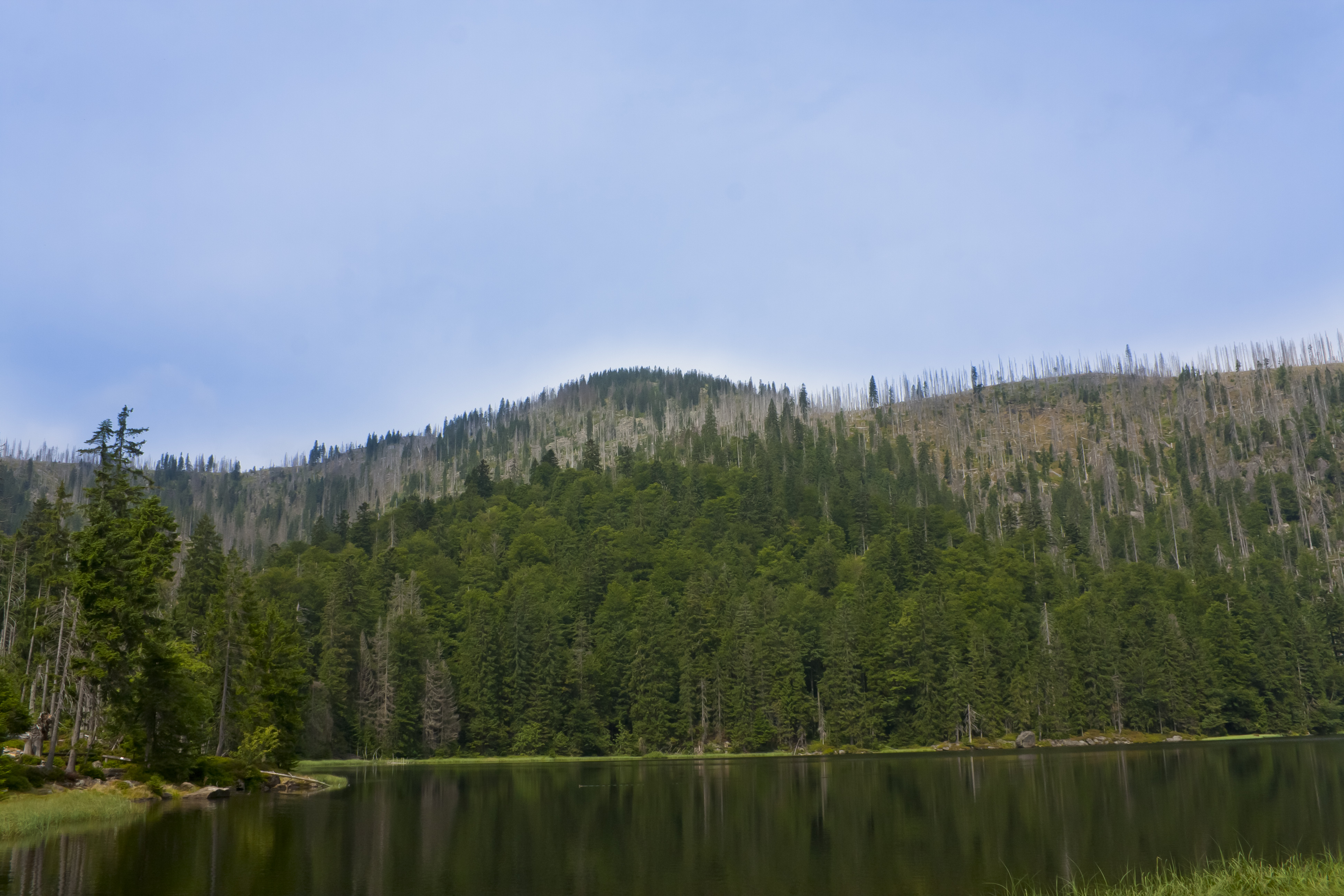 Баварский лес