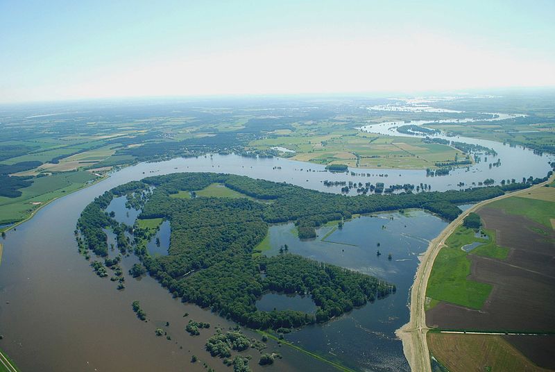 Flusslandschaft Elbe