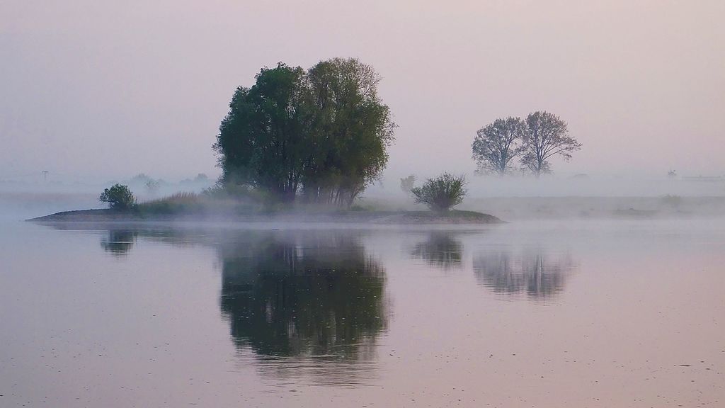 Flusslandschaft Elbe