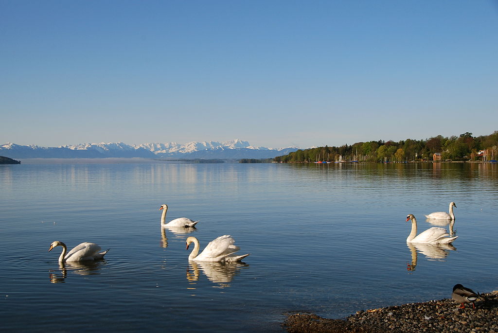 Starnberg, Deutschland: Die interessantesten Sehenswürdigkeiten, wohin man geht, was man essen kann und wo man übernachten kann, Touristenbewertungen