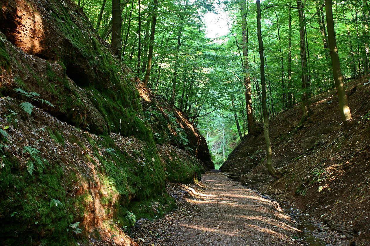 Thüringer Wald, Deutschland: Wandern in der Region