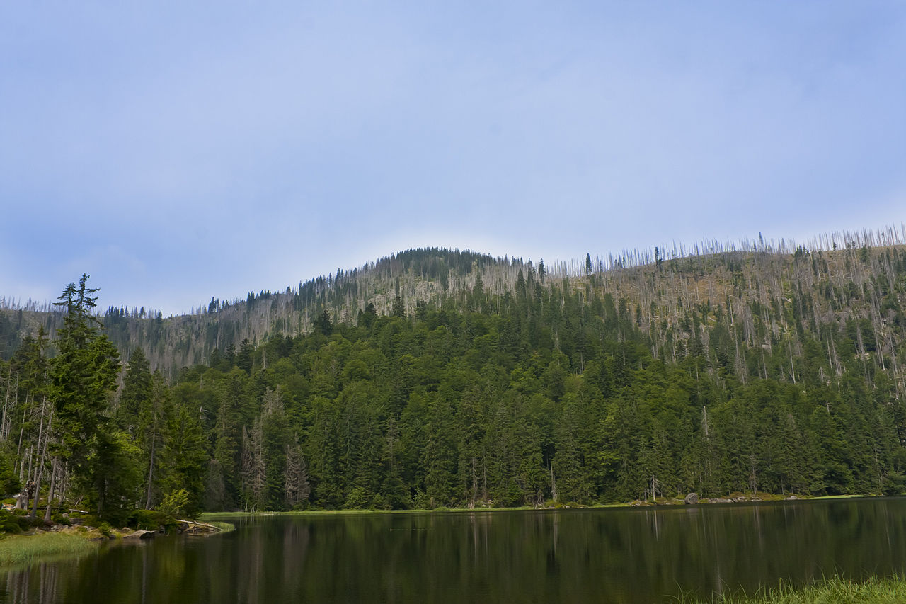 Deutschlands Naturschätze - Nationalparks