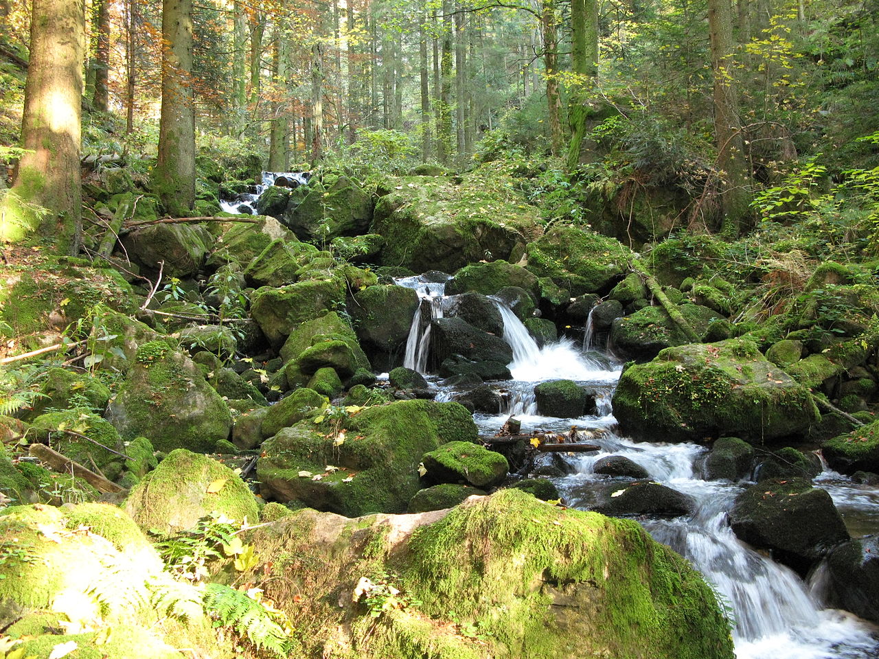 Stuttgart und der Schwarzwald, Deutschland: Besonderheiten der Region, Sehenswürdigkeiten, Landschaft, Routen