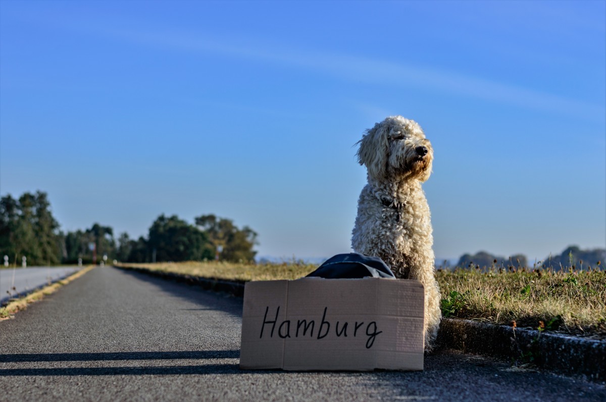 Deutschland heute: 25 interessante Fakten über das Land