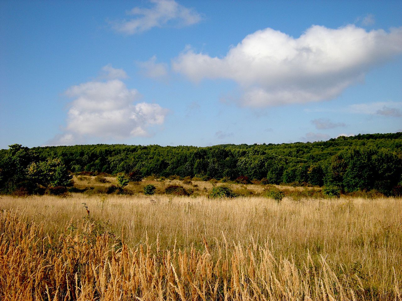 Deutschlands Naturschätze - Nationalparks