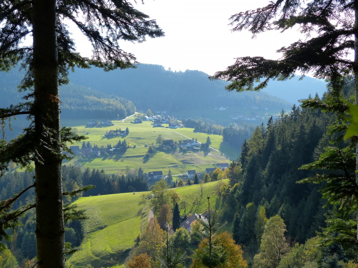 Schwarzwald, Deutschland: Die interessantesten Sehenswürdigkeiten, wo man hingeht, wo man essen kann, Reiseberichte